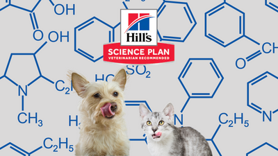 Hill's Science Plan - изборът на любящите стопани